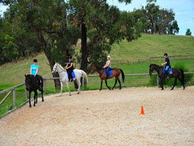 Megan Jones Riding School And Trail Rides - Accommodation Melbourne 0