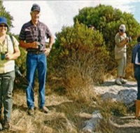 Coobowie Bird Hide - Accommodation Melbourne