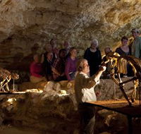 Naracoorte Caves National Park - Accommodation Melbourne