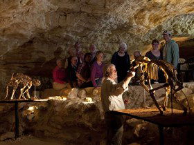 Naracoorte Caves National Park - Accommodation Melbourne 0