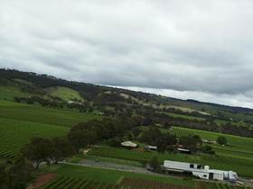 Kangarilla Road Vineyard And Winery - Accommodation Melbourne 0