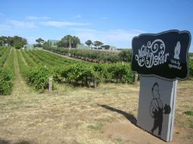 Mollydooker Wines - Accommodation Melbourne 0