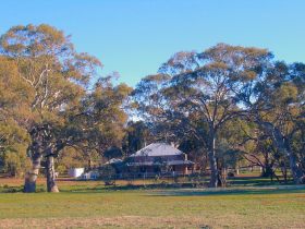 Old Wilpena Station - Melbourne 4u 0