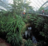 Bicentennial Conservatory - Accommodation Melbourne