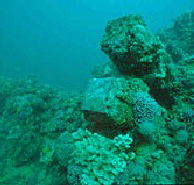 Adelaide's Underwater Heritage Trail - Accommodation Melbourne