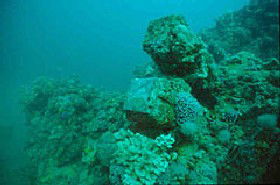 Adelaide's Underwater Heritage Trail - Accommodation Melbourne 0