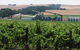 Kirrihill Wines - thumb 0
