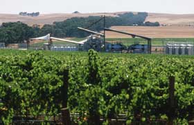 Kirrihill Wines - Accommodation Melbourne 0