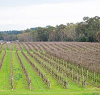 Dennis Wines - Accommodation Melbourne
