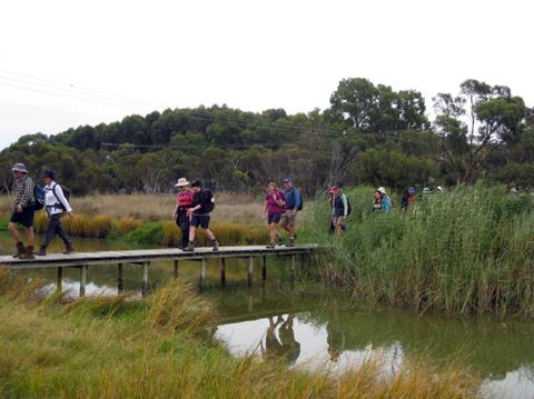 Lavender Federation Trail - Accommodation Melbourne 1