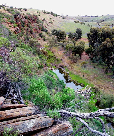 Lavender Federation Trail - Accommodation Melbourne 3