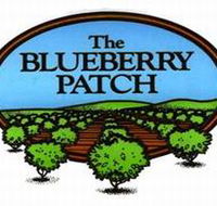 The Blueberry Patch - Accommodation Melbourne