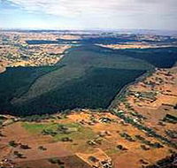 Mount Crawford Forest Reserve - Accommodation Melbourne