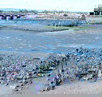 Jervois Basin Ships' Graveyard - Accommodation Melbourne