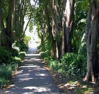 Adelaide Botanic Garden - Accommodation Melbourne