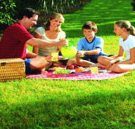 Bruny Island Berry Farm - Accommodation Melbourne