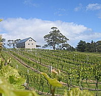 Bruny Island Premium Wines Bar and Grill - Accommodation Melbourne