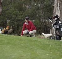 Tasmania Golf Club - The - Accommodation Melbourne