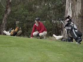 Tasmania Golf Club - The - Accommodation Melbourne 0