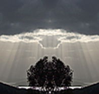 aart. Gallery of Fine Art - Accommodation Melbourne