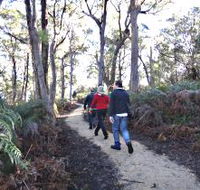 Bridport Walking Track - Accommodation Melbourne