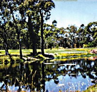 Smithton Country Club - Accommodation Melbourne