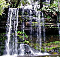 Mt Field National Park - Accommodation Melbourne