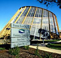 Forest EcoCentre - Accommodation Melbourne