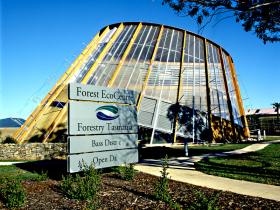 Forest EcoCentre - Accommodation Melbourne 0