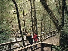 Franklin River Nature Trail - Accommodation Melbourne 0