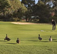 Royal Hobart Golf Club - Accommodation Melbourne