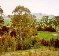 The Tasmanian Arboretum - Accommodation Melbourne