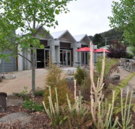 Tin Dragon Interpretation Centre and Cafe - Accommodation Melbourne