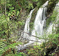 Hogarth Falls - Accommodation Melbourne