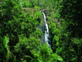 Montville QLD Accommodation Melbourne