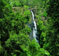 Kondalilla National Park - Accommodation Melbourne