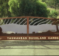 Tasmanian Bushland Garden - Accommodation Melbourne