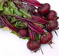 Sorell Market - Accommodation Melbourne
