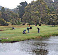 Penguin Golf Course - Accommodation Melbourne