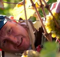 Puddleduck Vineyard - Accommodation Melbourne