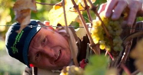 Puddleduck Vineyard - Accommodation Melbourne 0