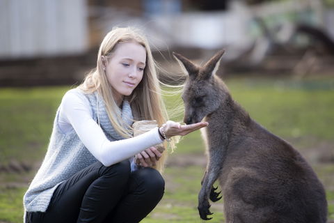 Bonorong Wildlife Sanctuary - Accommodation Melbourne 0