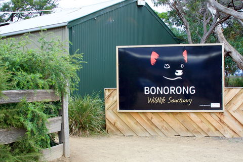 Bonorong Wildlife Sanctuary - Accommodation Melbourne 1