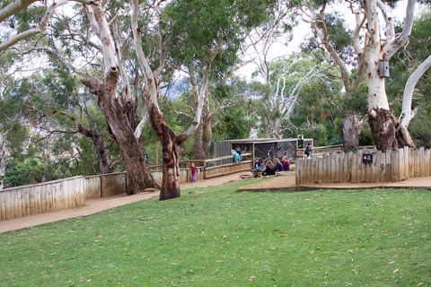 Bonorong Wildlife Sanctuary - Accommodation Melbourne 2