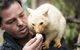 Bonorong Wildlife Sanctuary - thumb 4