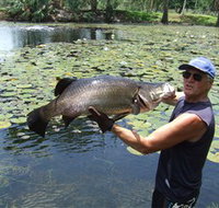Barra Feeding - Accommodation Melbourne