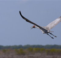Gayngaru Wetlands Interpretive Walk - Accommodation Melbourne