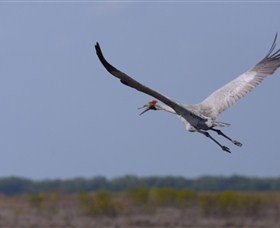 Gayngaru Wetlands Interpretive Walk - Accommodation Melbourne 0