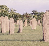 Magnetic Termite Mounds - Accommodation Melbourne
