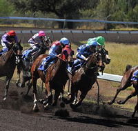 Alice Springs Turf Club - Accommodation Melbourne